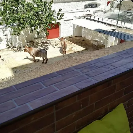 Apartment Bonito Y Amplio Piso Junto A La Plaza De Toros. Valencia