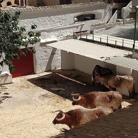 Apartment Bonito Y Amplio Piso Junto A La Plaza De Toros. *