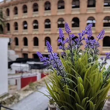 Bonito Y Amplio Piso Junto A La Plaza De Toros. * Valencia