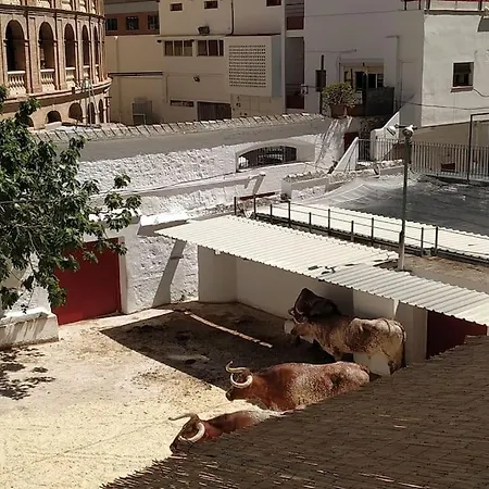 Bonito Y Amplio Piso Junto A La Plaza De Toros. Apartment *