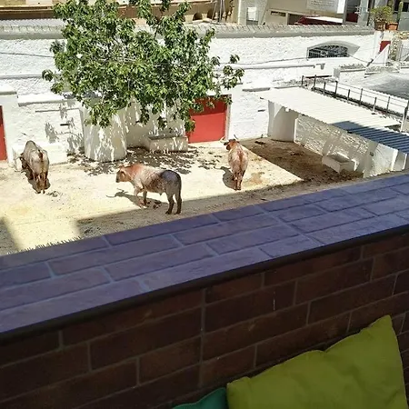Bonito Y Amplio Piso Junto A La Plaza De Toros. Apartment